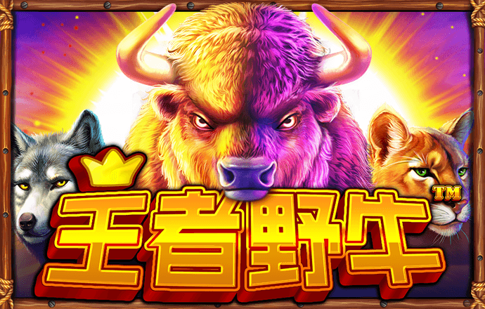 博鱼综合app入口